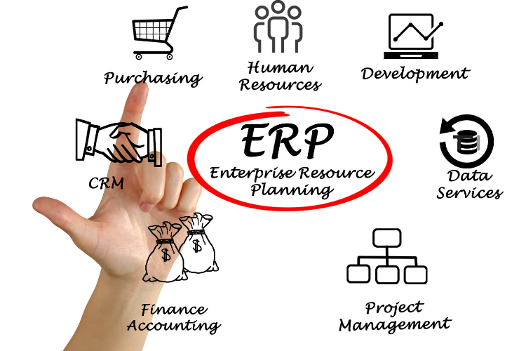 ERP needs 