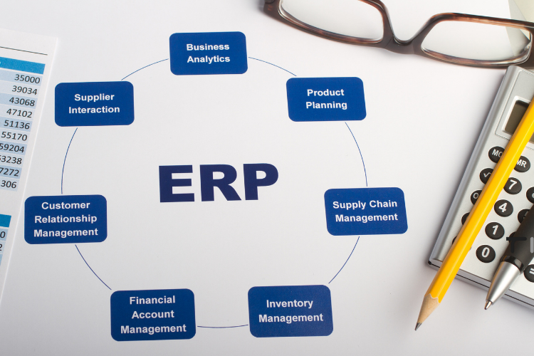 types of softwares in erp written