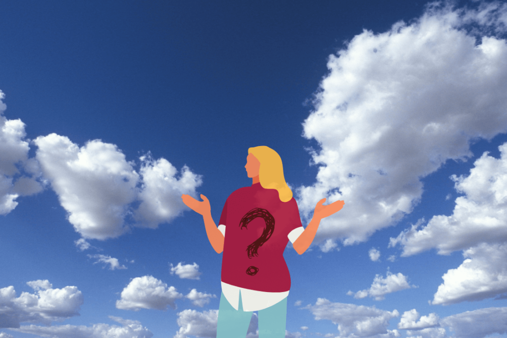 3 Signs That ERP System You're Considering Is Hosted in a Fake Cloud