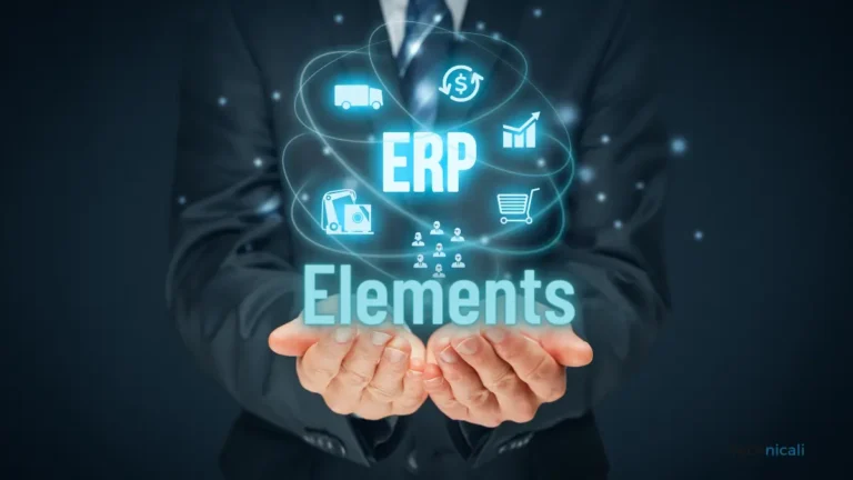 7 Key Elements of ERP System