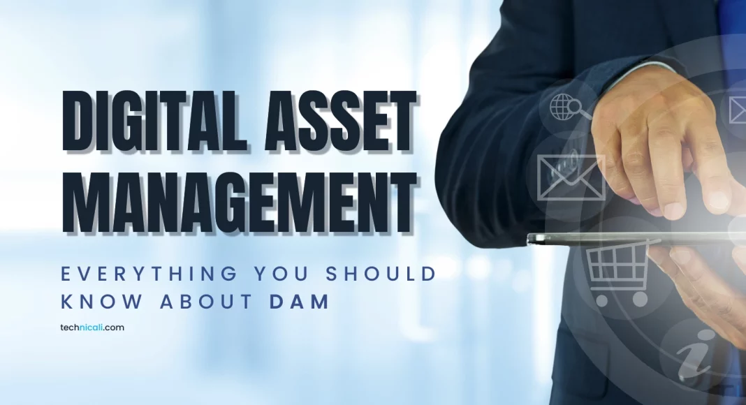 Digital Asset Management Tools: Everything You Should Know About Them ...