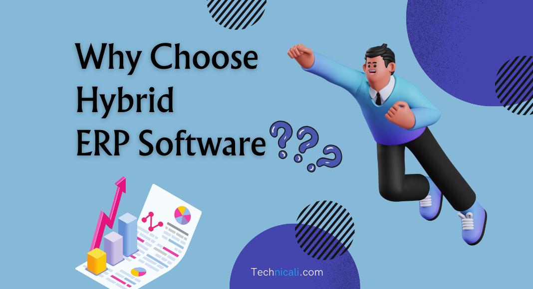 Hybrid ERP Software