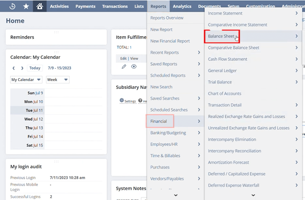 Dashboard interface displaying a menu navigation. "Balance Sheet" option is highlighted under "Financial" reports, indicating active selection.