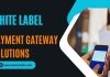 Top 7 White Label Payment Gateway Solutions for Growing Businesses Banner for white-label payment gateway solutions by Technicali showing mobile POS and professional service promotion